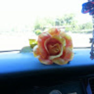 Meet your Posher, Jill